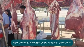 أسعار اللحوم.. ارتفاع جديد يطرأ في سوق الأقصر وسط طلب متزايد
